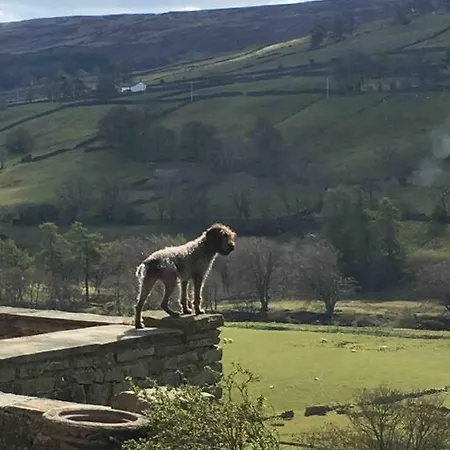 With Outstanding Views, Recently Renovated * Feetham